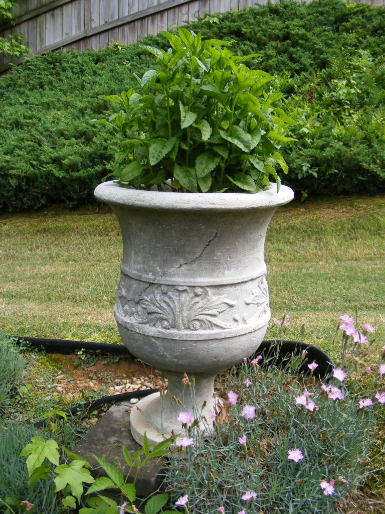 Urn with Perennials