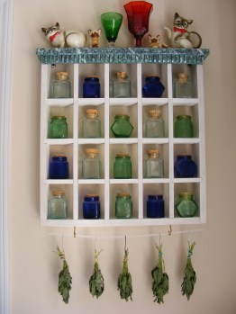 Mint drying on my spice rack