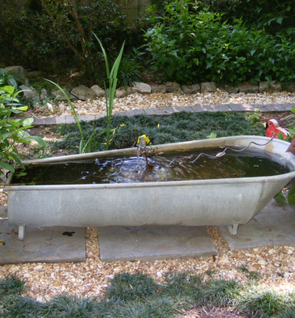 A bathtub repurposed as a water feature