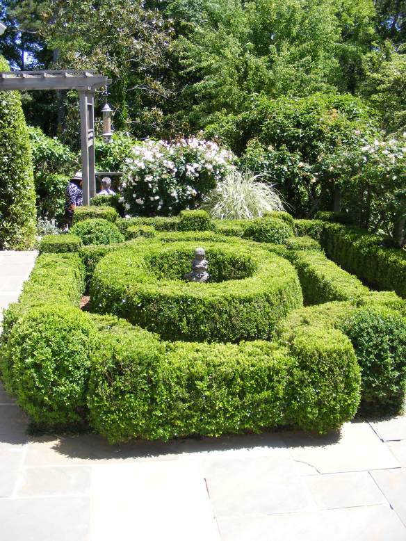 A boxwood hedge